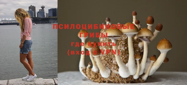 спиды Баксан