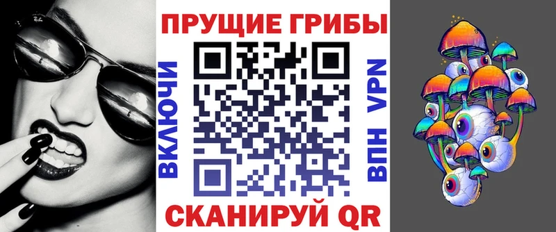 shop официальный сайт  кракен рабочий сайт  Ступино  Псилоцибиновые грибы GOLDEN TEACHER 